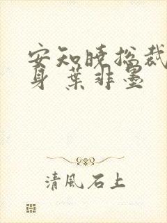 安知晓总裁的替身 叶非墨