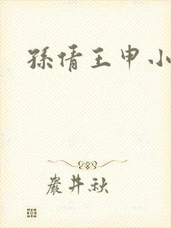 孙倩王申小说封面