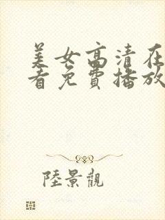美女高清在线观看免费播放电视剧