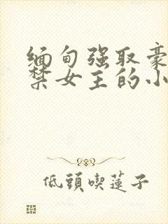 缅甸强取豪夺囚禁女主的小说