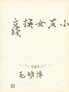 交换女友小说在线