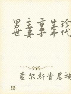 男主重生珍惜前世妻子年代文