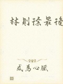 林则徐最后结局封面