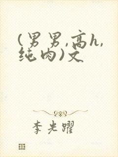 (男男,高h,纯肉)文