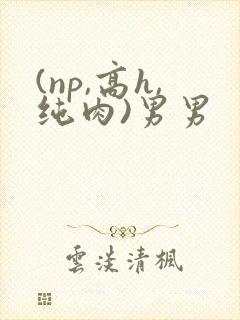 (np,高h,纯肉)男男封面