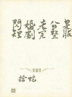 闪婚老公是总裁短剧完整版免费看