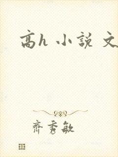 高h 小说 文封面