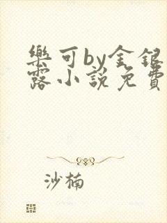乐可by金银花露小说免费阅读