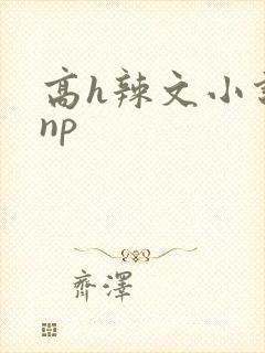 高h辣文小说 np
