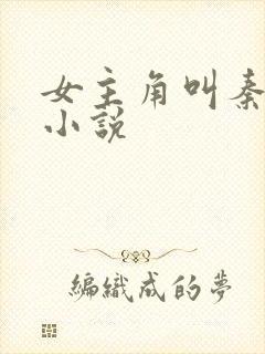 女主角叫秦晚的小说