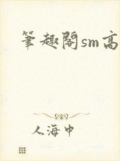 笔趣阁sm高h封面