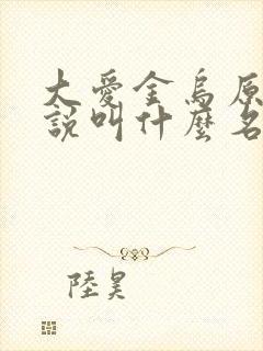 大爱金乌原著小说叫什么名字