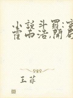小说斗罗:穿越霍雨浩,开局拜师药老大结局