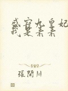 盛宠九皇妃作者我是素素封面