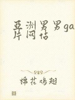 亚洲男男gay片网站