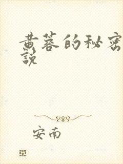 黄蓉的秘密h小说