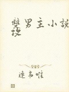 双男主小说受追攻