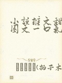 小说推文甜文校园文一口气看完