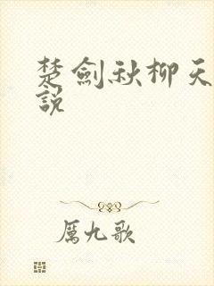 楚剑秋柳天瑶小说