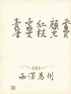 青云红颜香陈言唐曼枝免费阅读笔趣阁