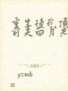 重生后我顶替了前夫白月光有声小说完整