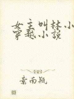 女主叫林小渔的穿越小说