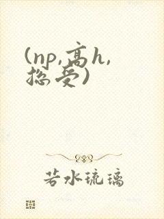 (np,高h,总受)
