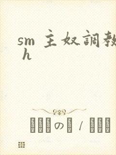 sm 主奴调教 h
