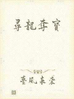 寻龙夺宝