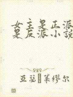 女主是正派男主是反派小说