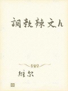调教辣文h封面
