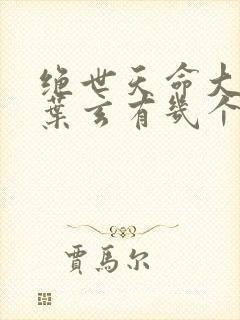 绝世天命大反派叶玄有几个女人封面