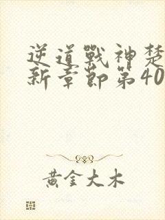 逆道战神楚枫最新章节第4080章
