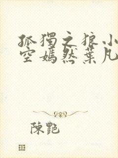 孤独之狼小说司空嫣然叶凡