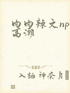 肉肉辣文np文高潮