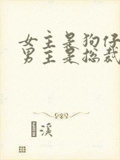女主是狗仔记者男主是总裁