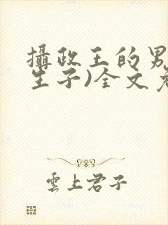摄政王的男妃(生子)全文免费阅读封面
