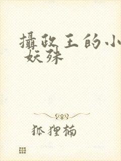 摄政王的小闲妻 妖殊