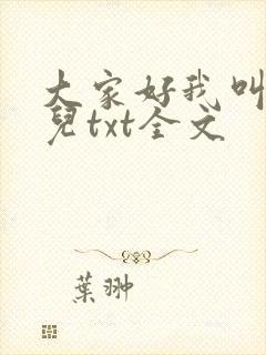 大家好我叫林喜儿txt全文
