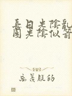 长日光阴乱作一团光阴似箭笔渺封面