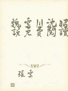 魏云川沈昭禾小说免费阅读笔趣阁封面