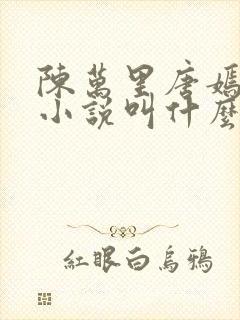 陈万里唐嫣然的小说叫什么封面