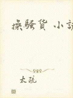 操骚货 小说封面