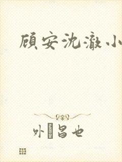顾安沈澈小说