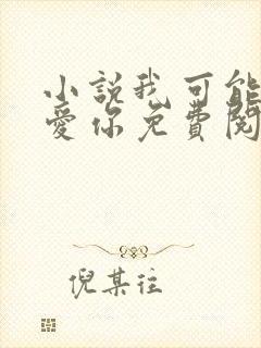 小说我可能不会爱你免费阅读