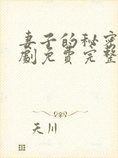 妻子的秘密电视剧免费完整版