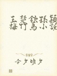 王楚钦孙颖莎青梅竹马小说封面