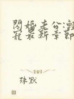 闪婚老公:轻点宠最新章节目录
