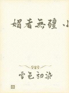 媚者无疆 小说