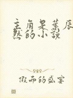 主角是叶辰萧初然的小说封面
